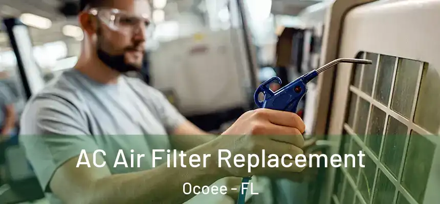  AC Air Filter Replacement Ocoee - FL