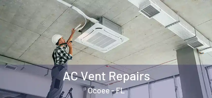  AC Vent Repairs Ocoee - FL