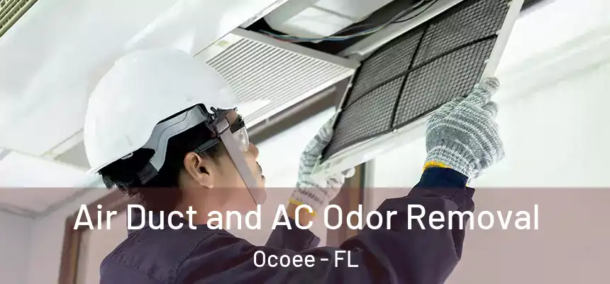  Air Duct and AC Odor Removal Ocoee - FL