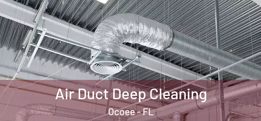  Air Duct Deep Cleaning Ocoee - FL