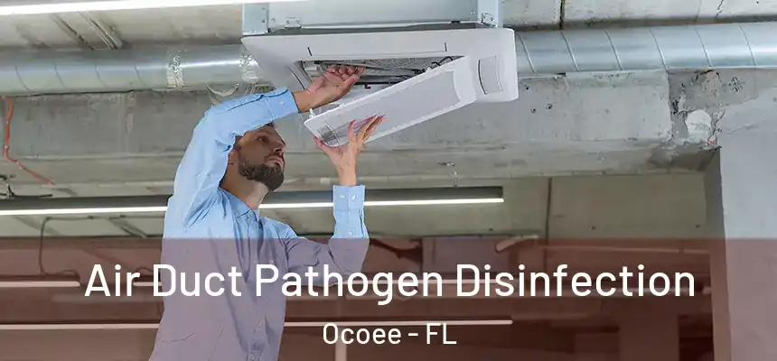  Air Duct Pathogen Disinfection Ocoee - FL