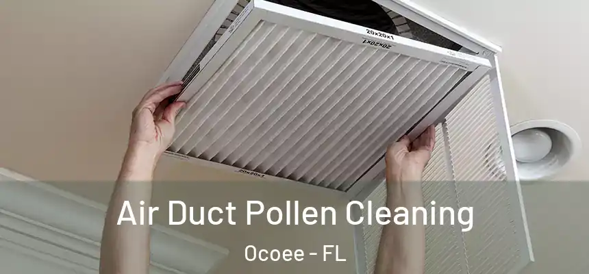  Air Duct Pollen Cleaning Ocoee - FL