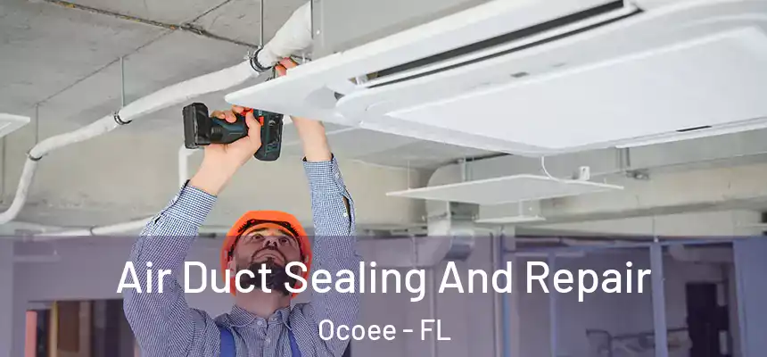  Air Duct Sealing And Repair Ocoee - FL