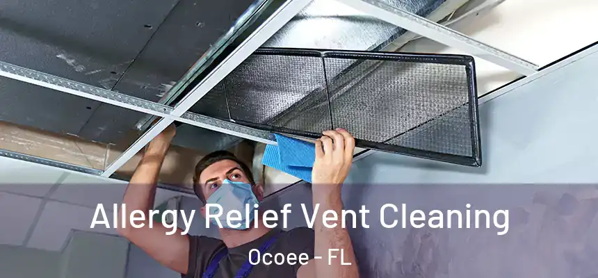  Allergy Relief Vent Cleaning Ocoee - FL