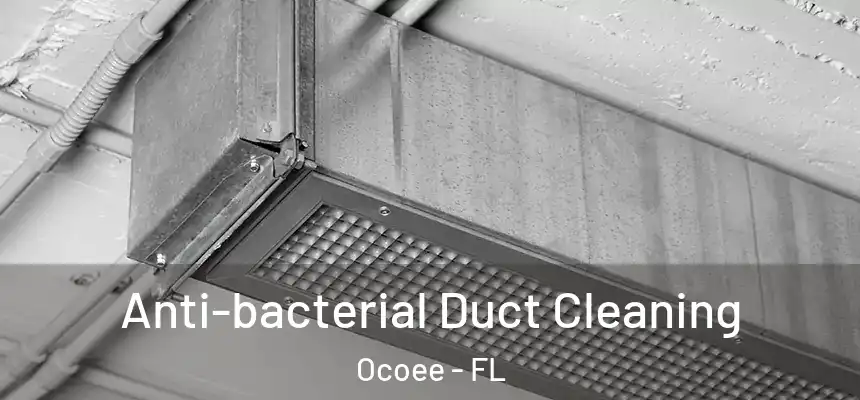  Anti-bacterial Duct Cleaning Ocoee - FL