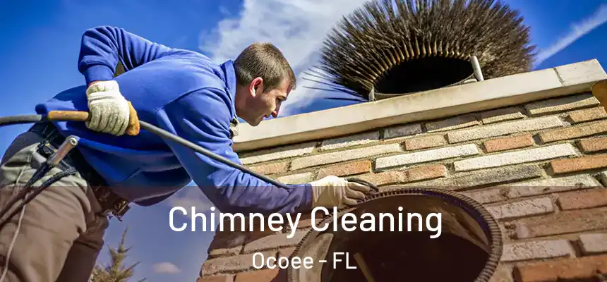  Chimney Cleaning Ocoee - FL