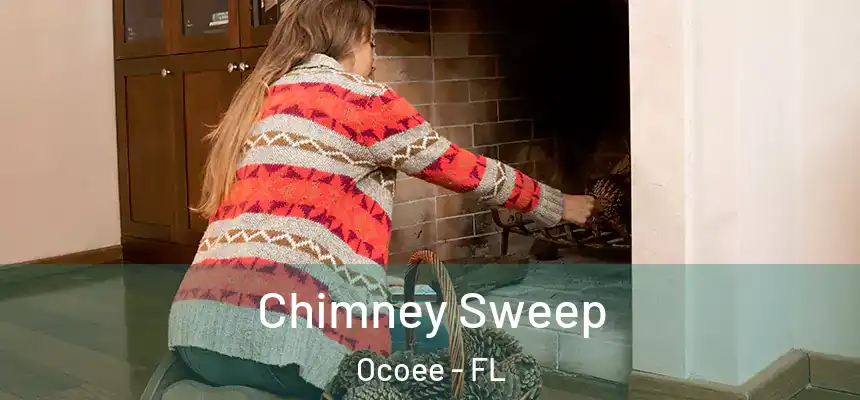  Chimney Sweep Ocoee - FL