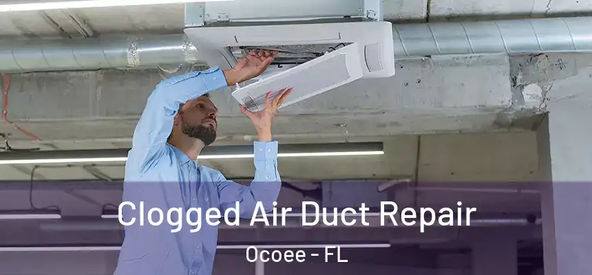  Clogged Air Duct Repair Ocoee - FL