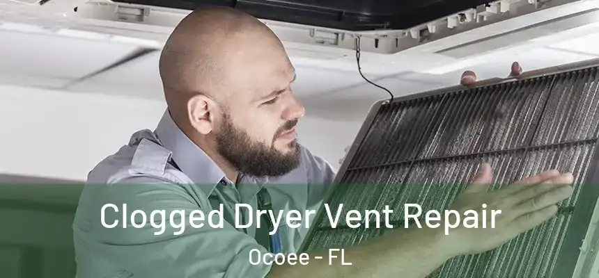  Clogged Dryer Vent Repair Ocoee - FL