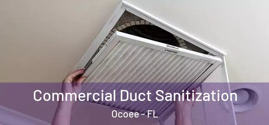  Commercial Duct Sanitization Ocoee - FL