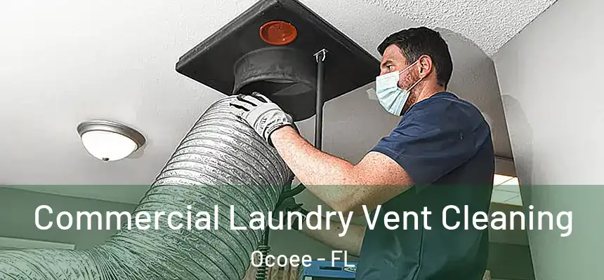 Commercial Laundry Vent Cleaning Ocoee - FL