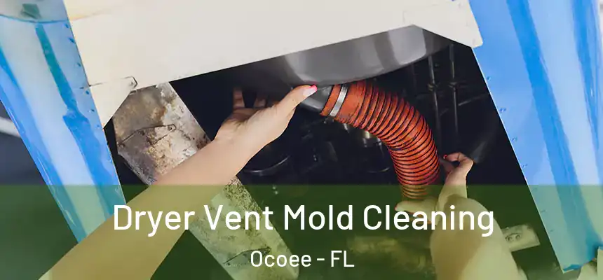  Dryer Vent Mold Cleaning Ocoee - FL