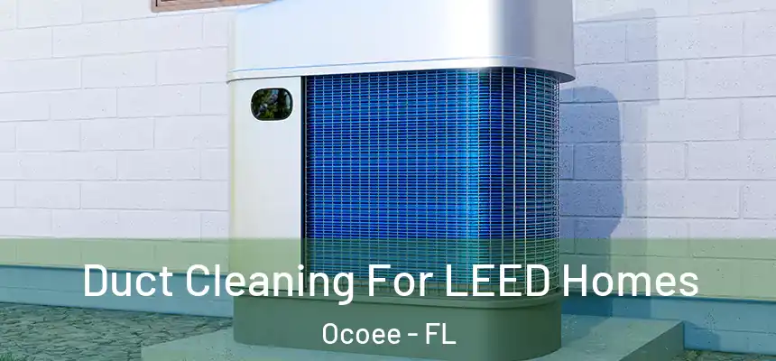  Duct Cleaning For LEED Homes Ocoee - FL