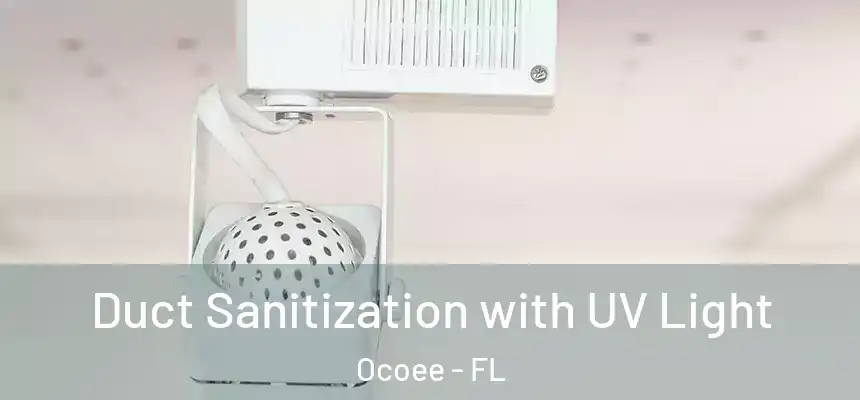  Duct Sanitization with UV Light Ocoee - FL