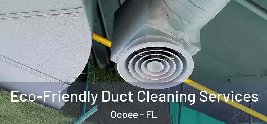  Eco-Friendly Duct Cleaning Services Ocoee - FL