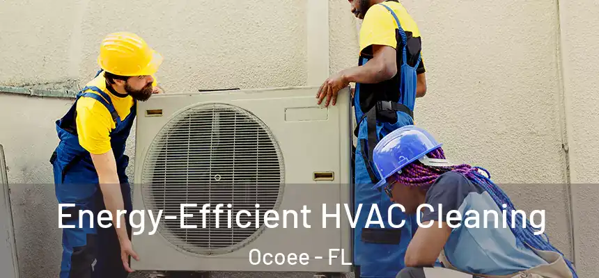  Energy-Efficient HVAC Cleaning Ocoee - FL