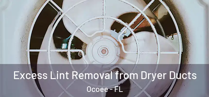  Excess Lint Removal from Dryer Ducts Ocoee - FL