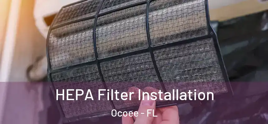  HEPA Filter Installation Ocoee - FL