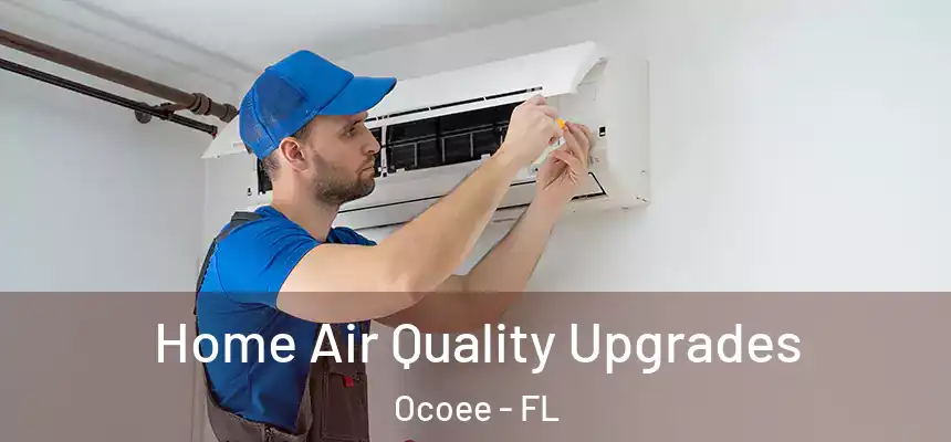  Home Air Quality Upgrades Ocoee - FL
