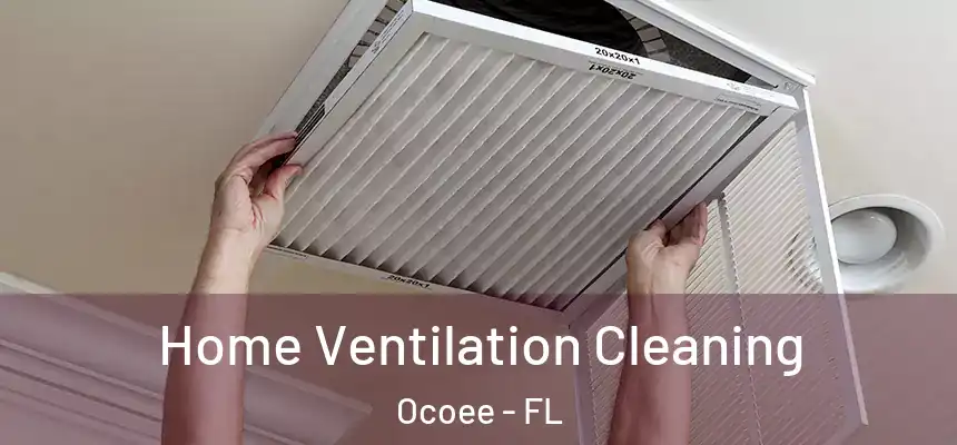  Home Ventilation Cleaning Ocoee - FL