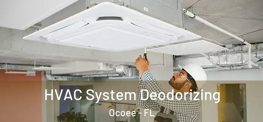  HVAC System Deodorizing Ocoee - FL