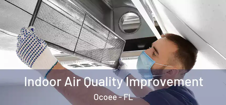  Indoor Air Quality Improvement Ocoee - FL
