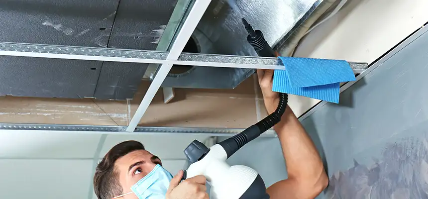 Our Air Duct Rodent Removal Services in Ocoee, FL