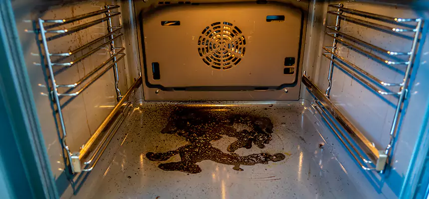 Our Dryer Vent Mold Cleaning Services in Ocoee, FL