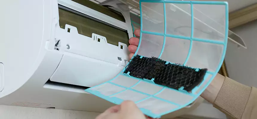 Gentle Ductwork Odor-Control Pet Dander Duct Cleaning in Ocoee, FL