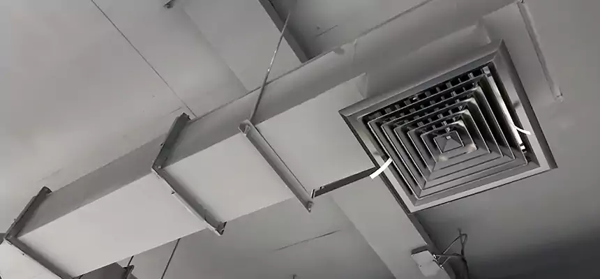 Our Rodent Droppings In Vents Services in Ocoee, FL