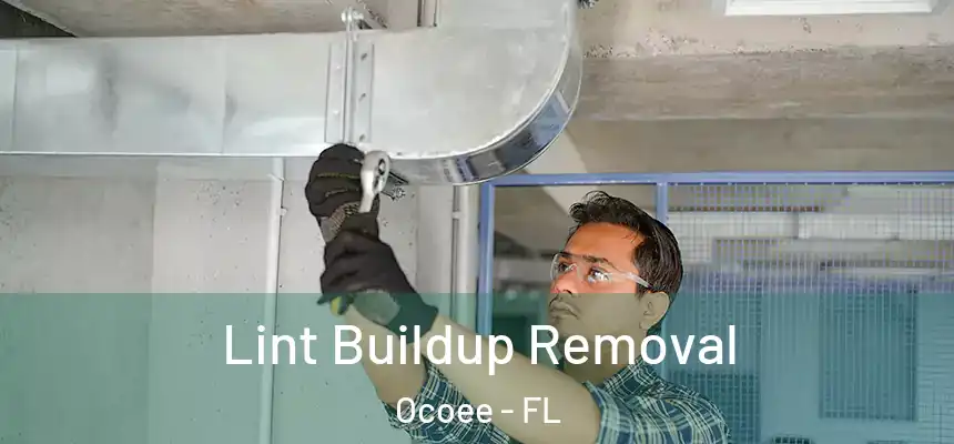  Lint Buildup Removal Ocoee - FL