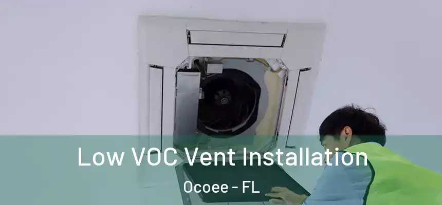  Low VOC Vent Installation Ocoee - FL