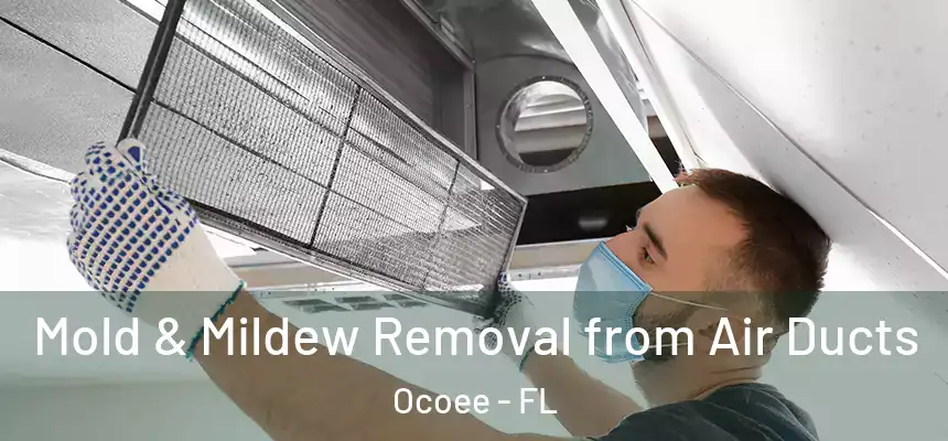  Mold & Mildew Removal from Air Ducts Ocoee - FL