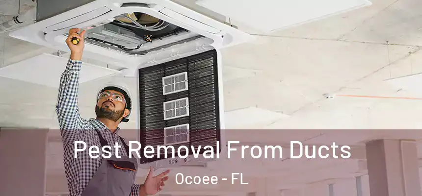 Pest Removal From Ducts Ocoee - FL