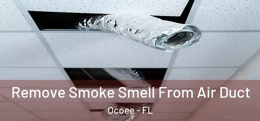  Remove Smoke Smell From Air Duct Ocoee - FL