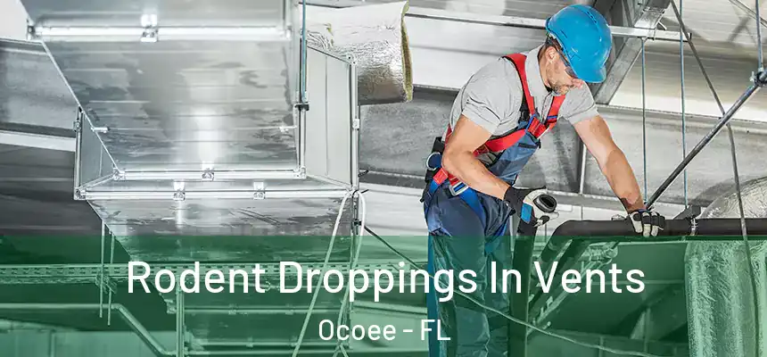  Rodent Droppings In Vents Ocoee - FL