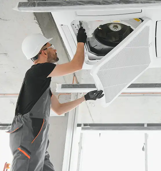 About Air Duct Rodent Removal in Ocoee, FL