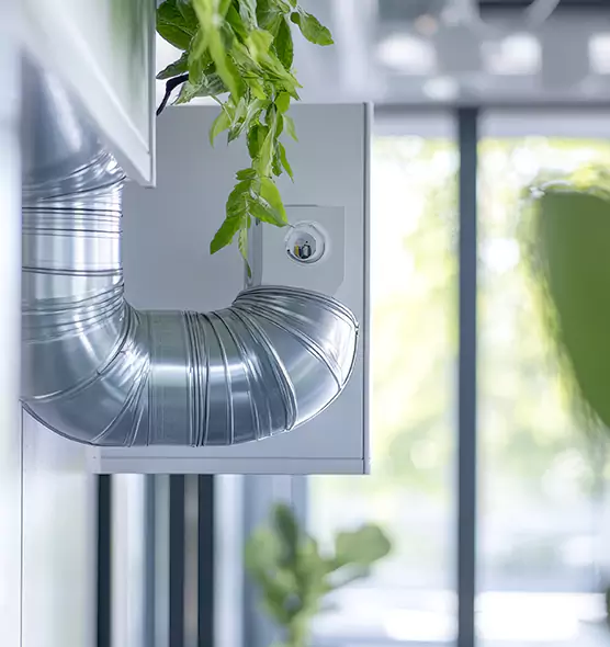 Professional Eco-Friendly Duct Cleaning Services in Ocoee, FL