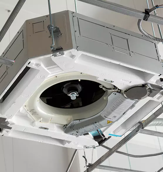 Professional Roof Vent Lint Removal Ocoee, FL