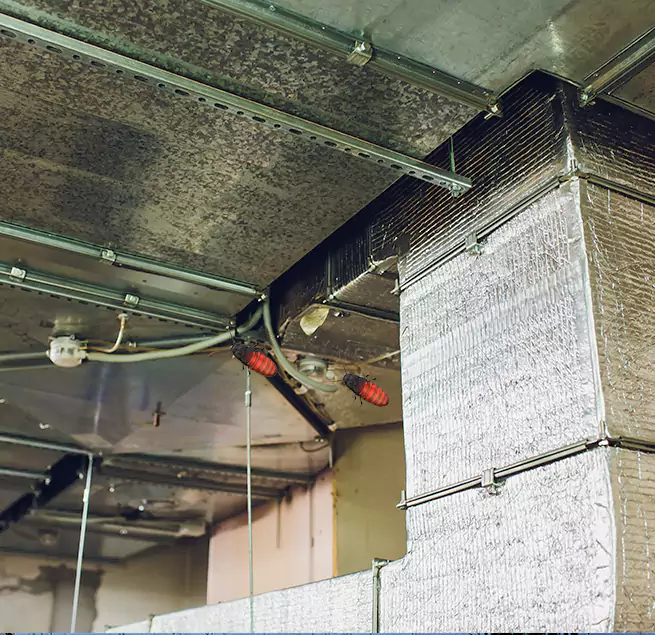 Why Homeowners & Businesses Trust Us in Ocoee, FL?