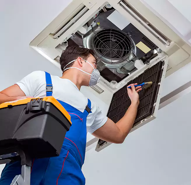 Why Homeowners & Businesses Trust Us in Ocoee, FL