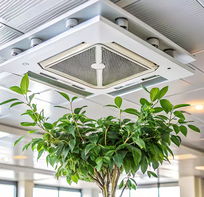 Why Homeowners & Businesses Trust Us in Ocoee, FL?