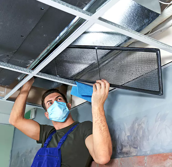 Why Homeowners & Businesses Trust Us in Ocoee, FL?