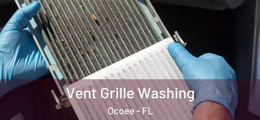  Vent Grille Washing Ocoee - FL